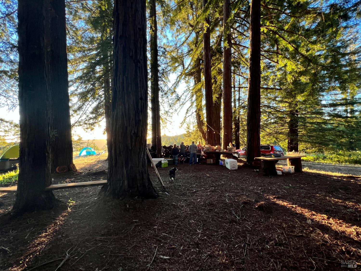 31010 Stewarts Point-skaggs Springs Road Annapolis, CA 95412 - Photo 3 of 78