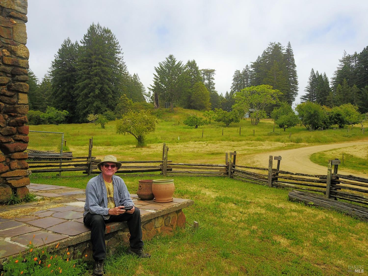 31010 Stewarts Point-skaggs Springs Road Annapolis, CA 95412 - Photo 31 of 78 a view of a swimming pool with a bench and trees in the background