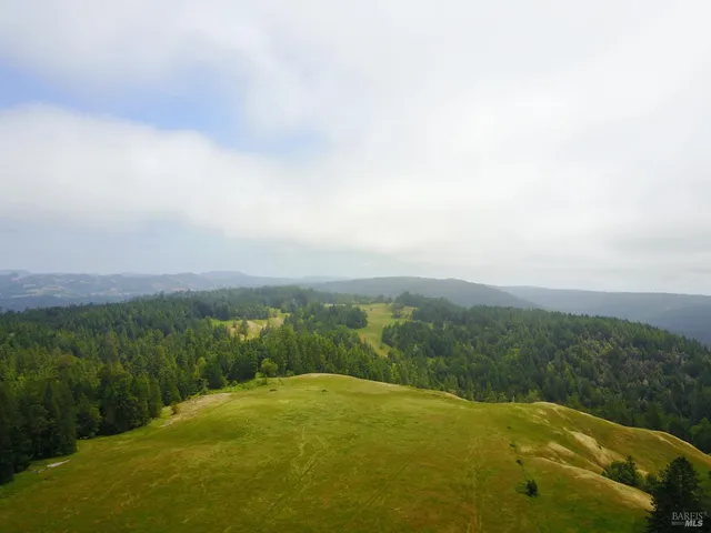 a view of a yard with large trees
