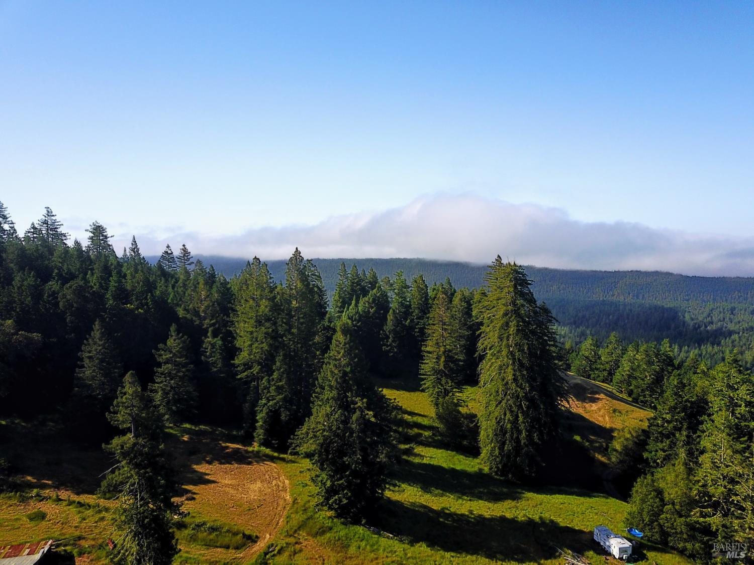 31010 Stewarts Point-skaggs Springs Road Annapolis, CA 95412 - Photo 34 of 78 a view of a city with lush green forest