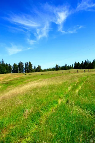 a view of outdoor space with city view