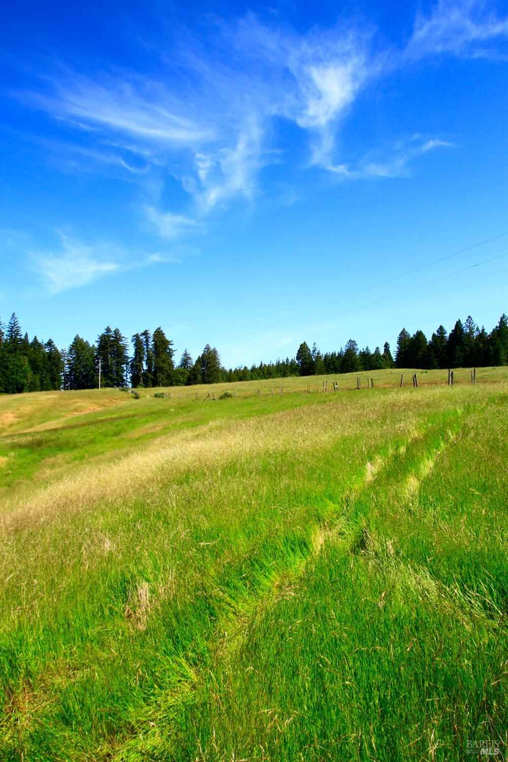 31010 Stewarts Point-skaggs Springs Road Annapolis, CA 95412 - Photo 35 of 78 a view of a ocean with a beach