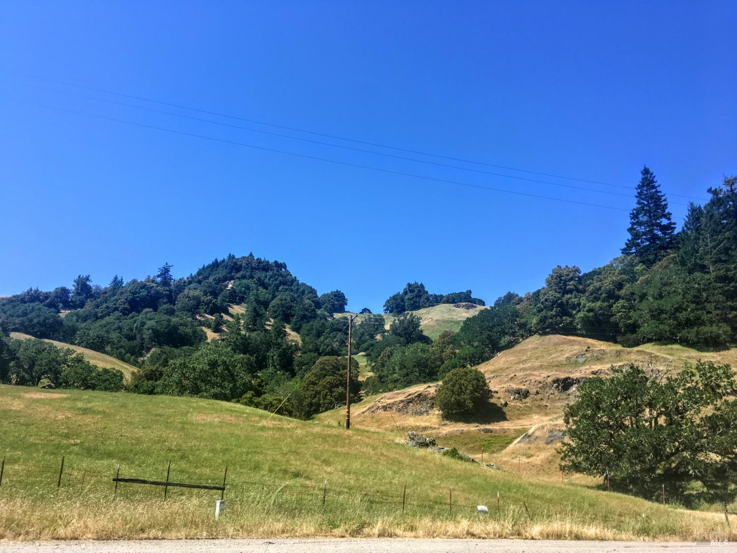 31010 Stewarts Point-skaggs Springs Road Annapolis, CA 95412 - Photo 37 of 78 a view of a yard with an outdoor space