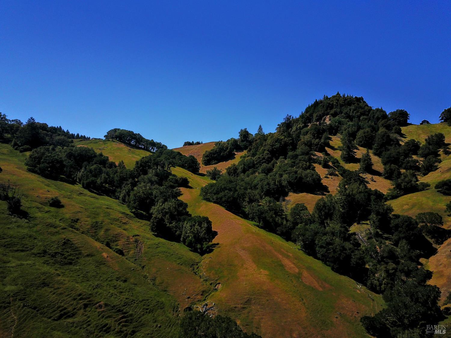 31010 Stewarts Point-skaggs Springs Road Annapolis, CA 95412 - Photo 38 of 78