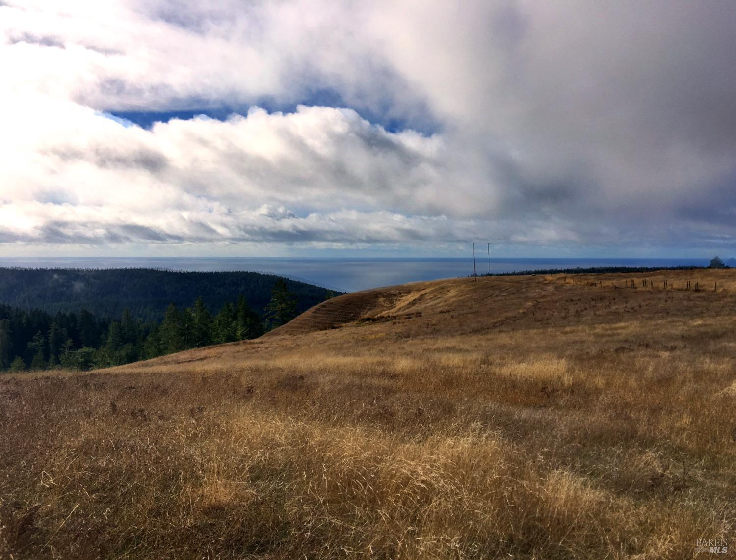 31010 Stewarts Point-skaggs Springs Road Annapolis, CA 95412 - Photo 39 of 78 a view of a dry yard with wooden fence