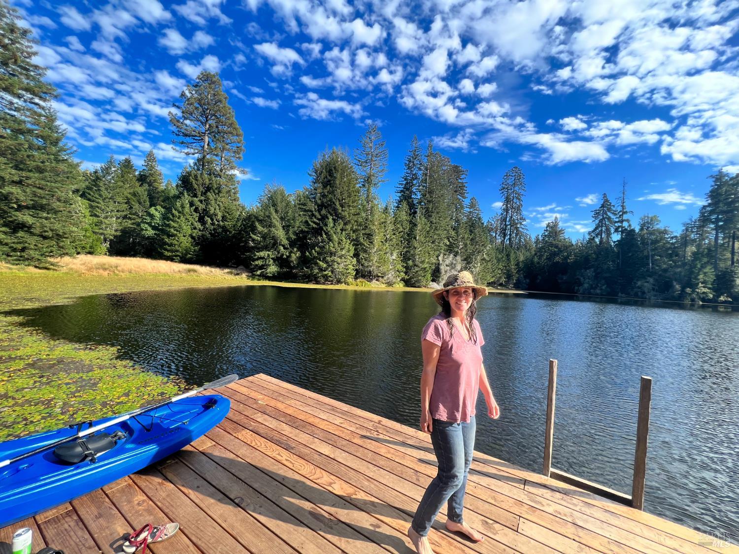 31010 Stewarts Point-skaggs Springs Road Annapolis, CA 95412 - Photo 4 of 78