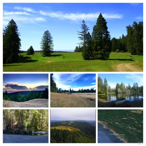 a view of a yard of a house