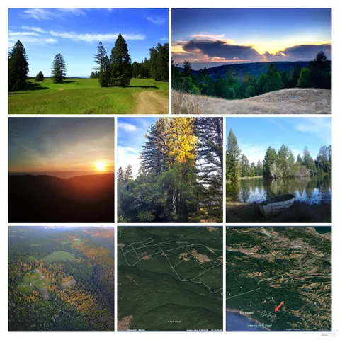 a view of a field of grass and trees