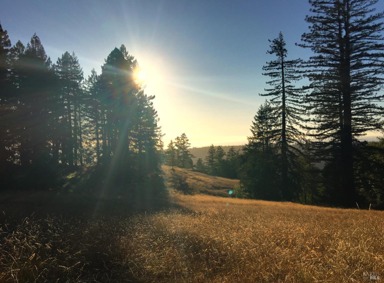 31010 Stewarts Point-skaggs Springs Road Annapolis, CA 95412 - Photo 50 of 78 a view of outdoor space and yard