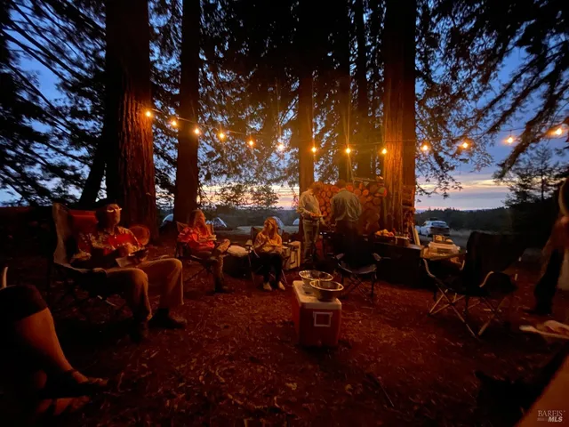 a view of a city with lush green forest