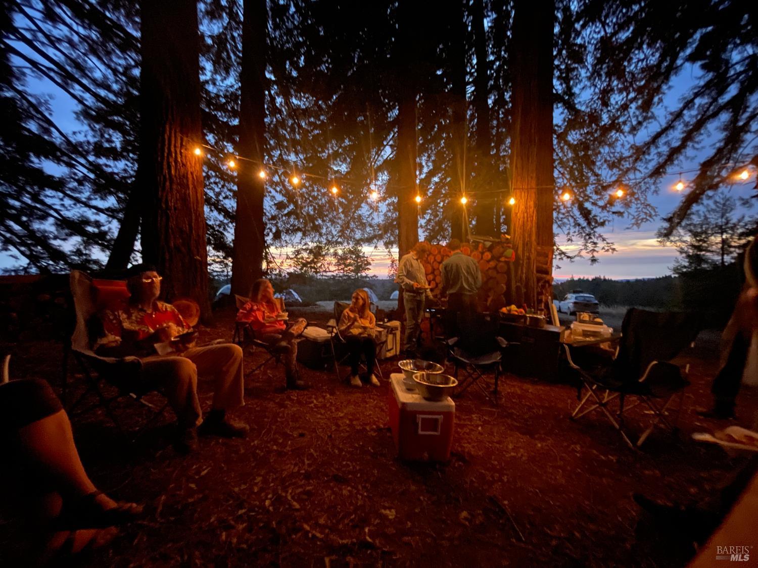 31010 Stewarts Point-skaggs Springs Road Annapolis, CA 95412 - Photo 5 of 78