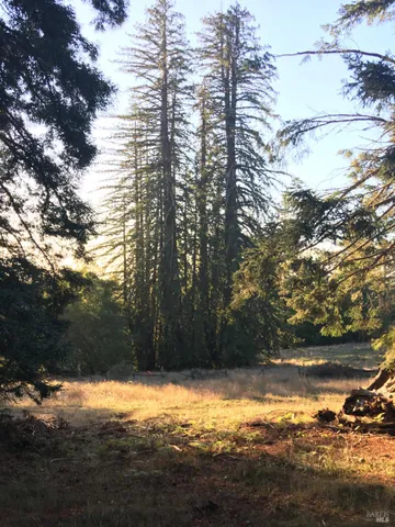 $10,000,000 | 31010 Stewarts Point-skaggs Springs Road, Annapolis, CA 95412