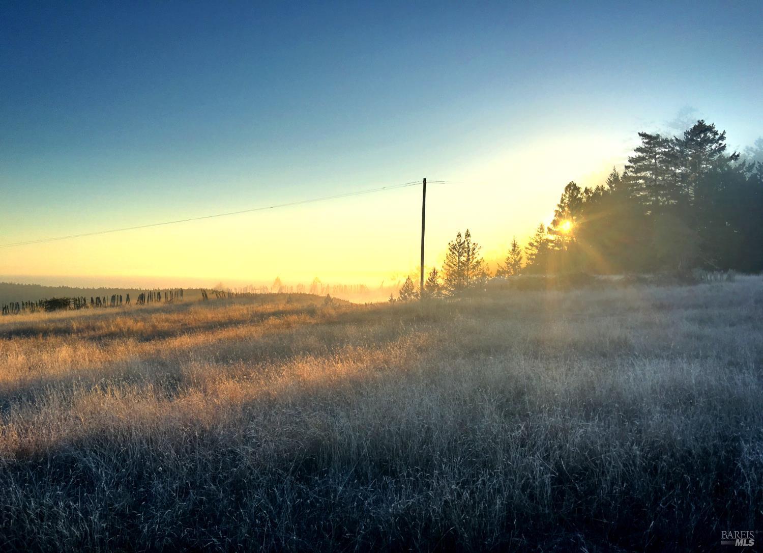 31010 Stewarts Point-skaggs Springs Road Annapolis, CA 95412 - Photo 52 of 78