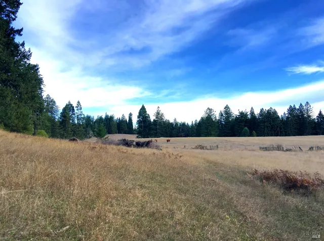 $10,000,000 | 31010 Stewarts Point-skaggs Springs Road, Annapolis, CA 95412