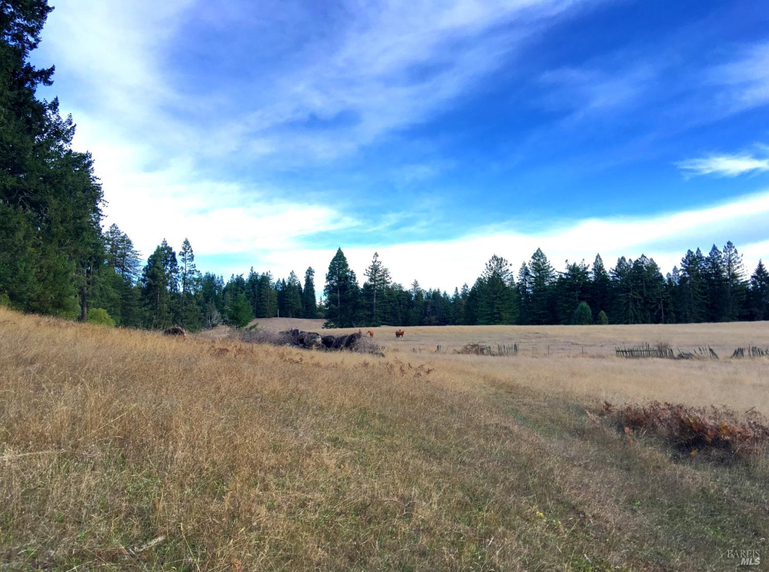 31010 Stewarts Point-skaggs Springs Road Annapolis, CA 95412 - Photo 53 of 78 a view of outdoor space with city view