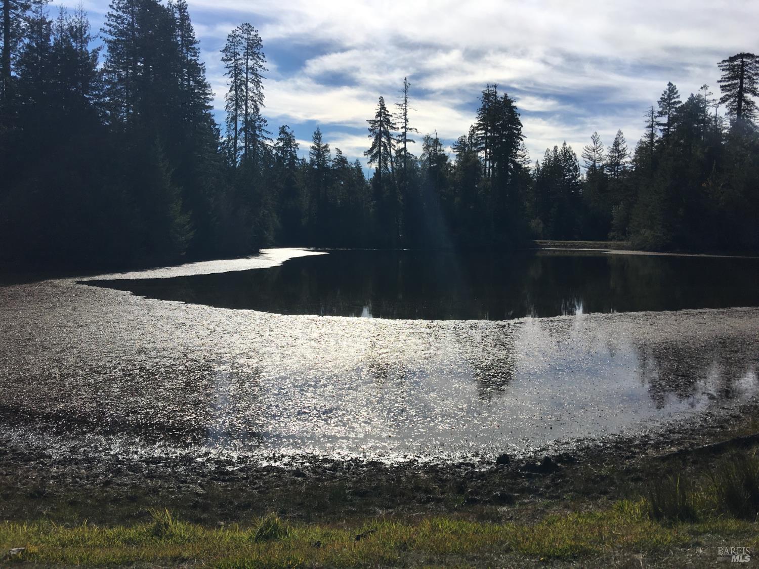31010 Stewarts Point-skaggs Springs Road Annapolis, CA 95412 - Photo 54 of 78 a view of outdoor space and yard