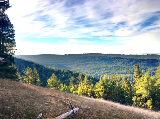 $10,000,000 | 31010 Stewarts Point-skaggs Springs Road, Annapolis, CA 95412