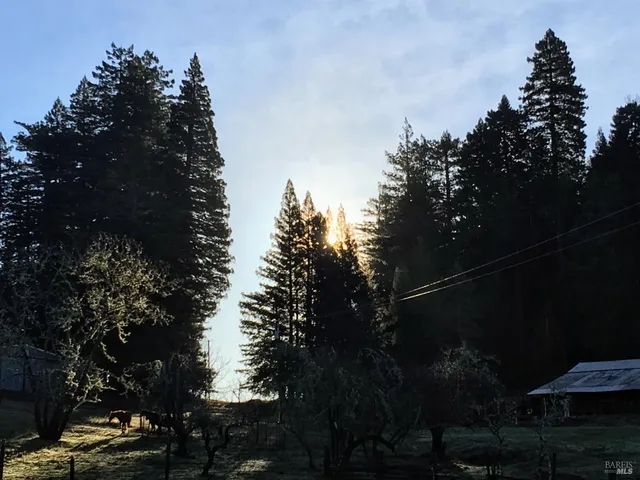 $10,000,000 | 31010 Stewarts Point-skaggs Springs Road, Annapolis, CA 95412