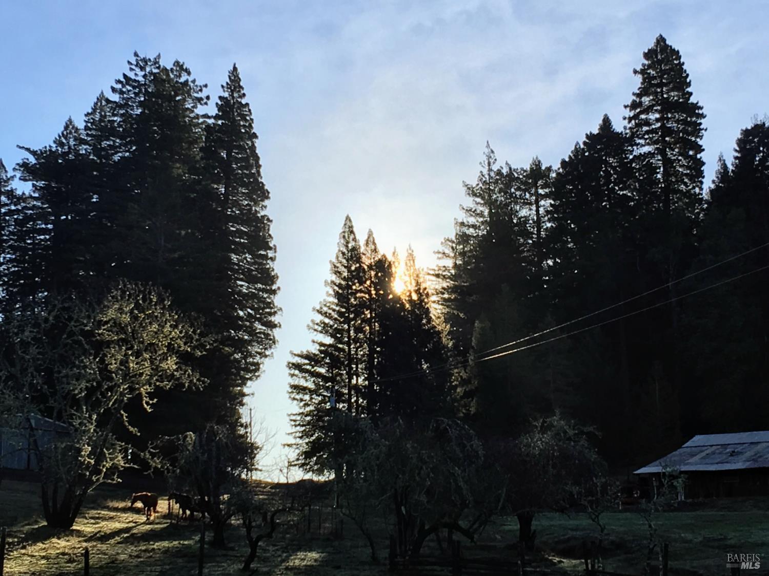 31010 Stewarts Point-skaggs Springs Road Annapolis, CA 95412 - Photo 58 of 78