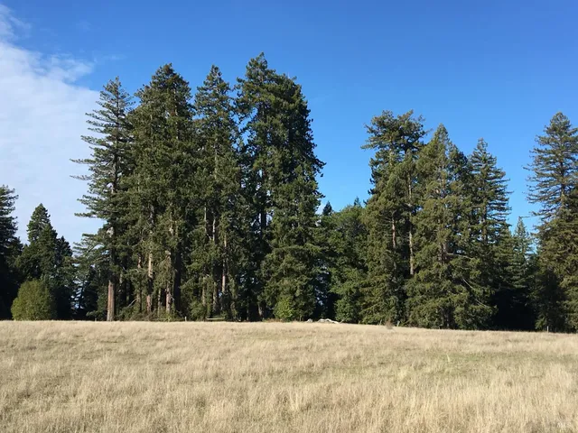 $10,000,000 | 31010 Stewarts Point-skaggs Springs Road, Annapolis, CA 95412