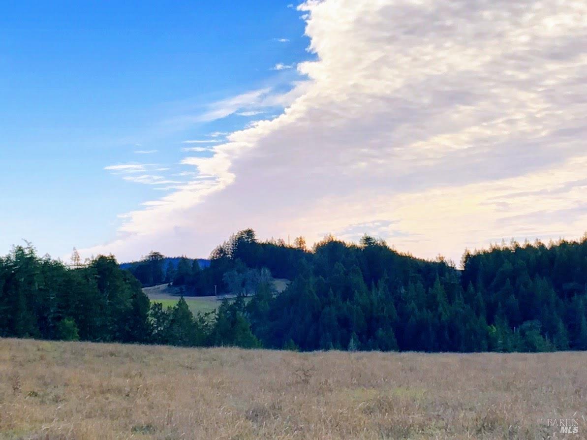 31010 Stewarts Point-skaggs Springs Road Annapolis, CA 95412 - Photo 60 of 78