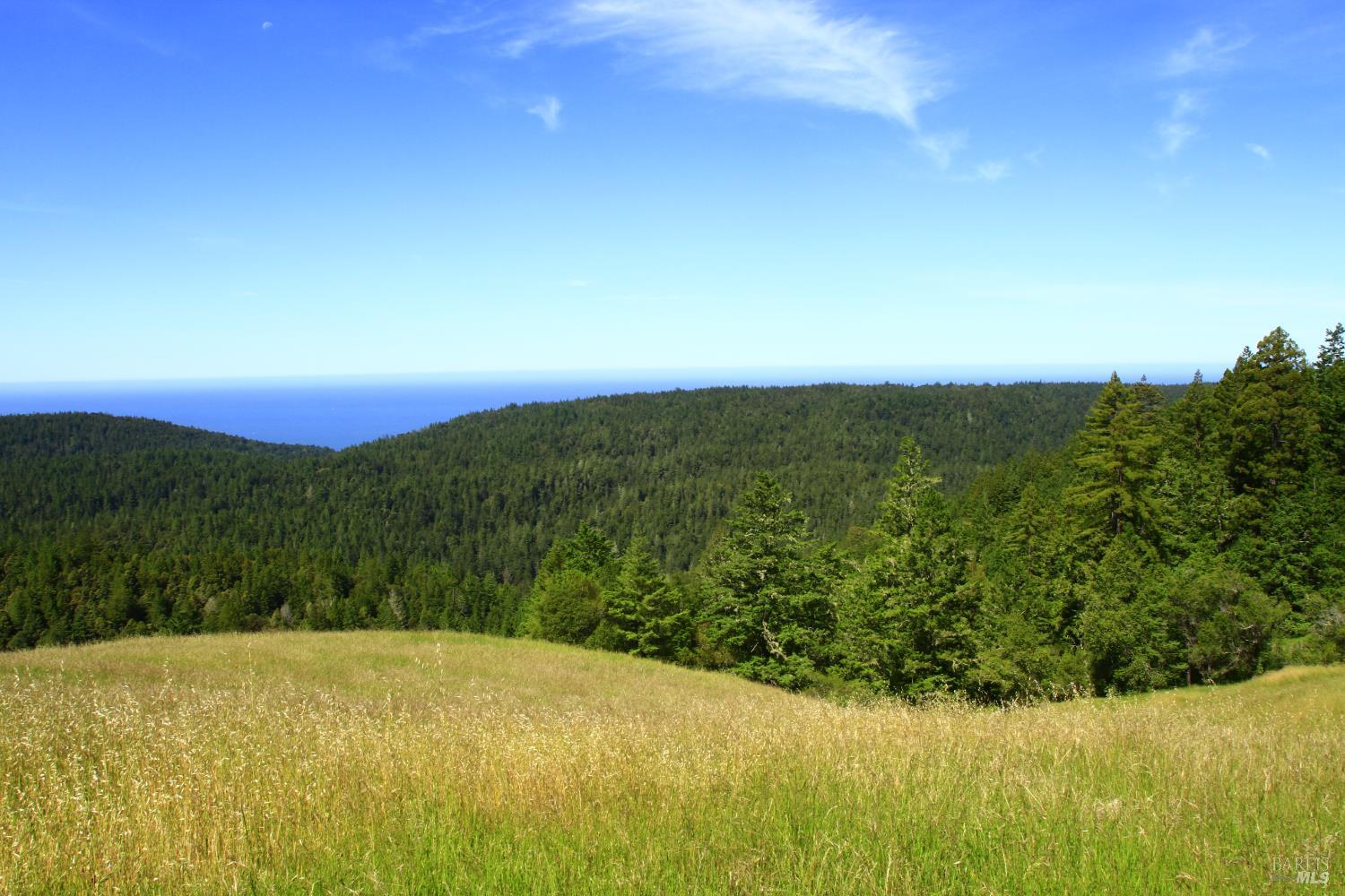 31010 Stewarts Point-skaggs Springs Road Annapolis, CA 95412 - Photo 6 of 78