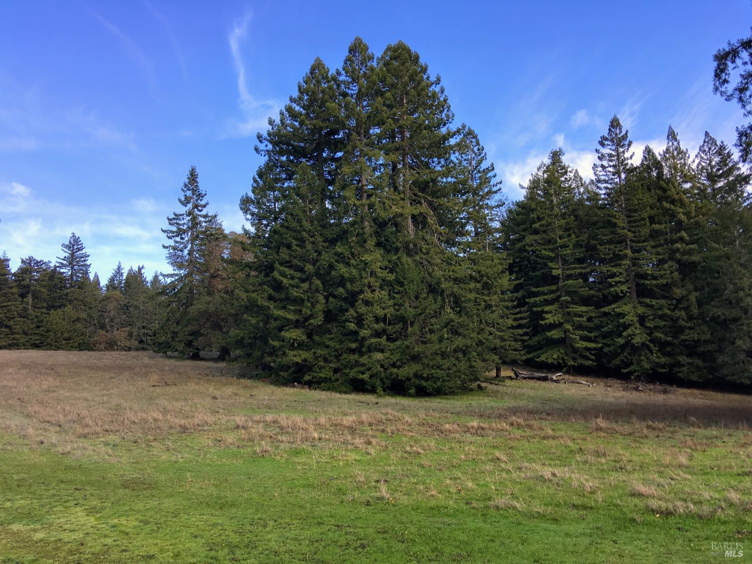 31010 Stewarts Point-skaggs Springs Road Annapolis, CA 95412 - Photo 61 of 78 a view of a yard