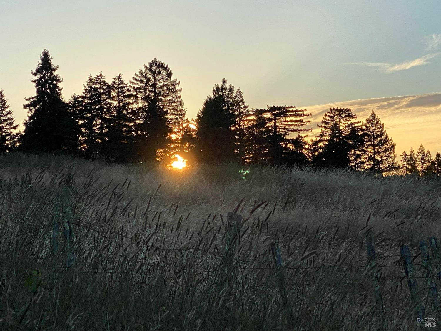 31010 Stewarts Point-skaggs Springs Road Annapolis, CA 95412 - Photo 65 of 78 a view of lake with green space