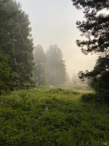 $10,000,000 | 31010 Stewarts Point-skaggs Springs Road, Annapolis, CA 95412