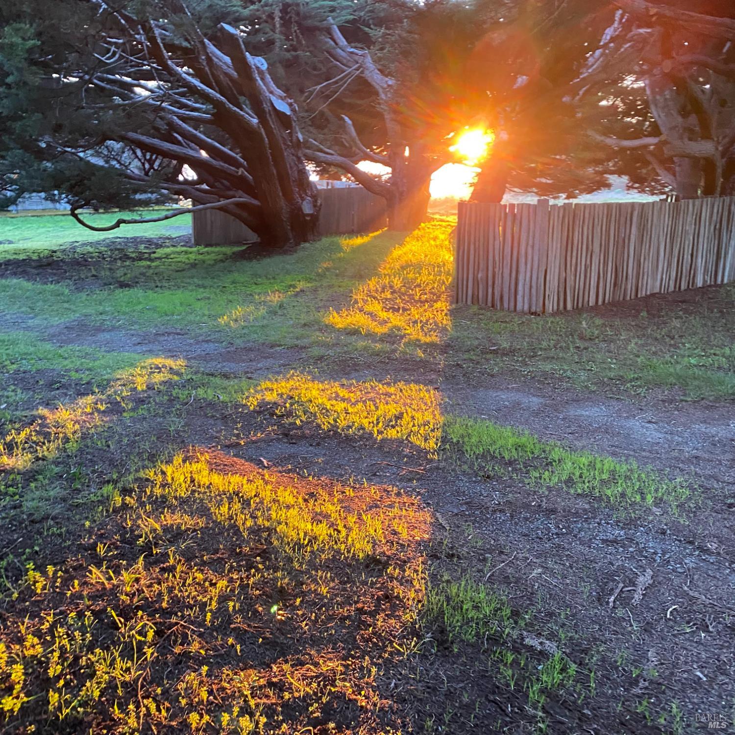 31010 Stewarts Point-skaggs Springs Road Annapolis, CA 95412 - Photo 68 of 78