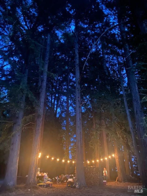 31010 Stewarts Point-skaggs Springs Road Annapolis, CA 95412 - Photo 70 of 78