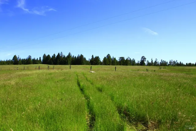 a view of green field