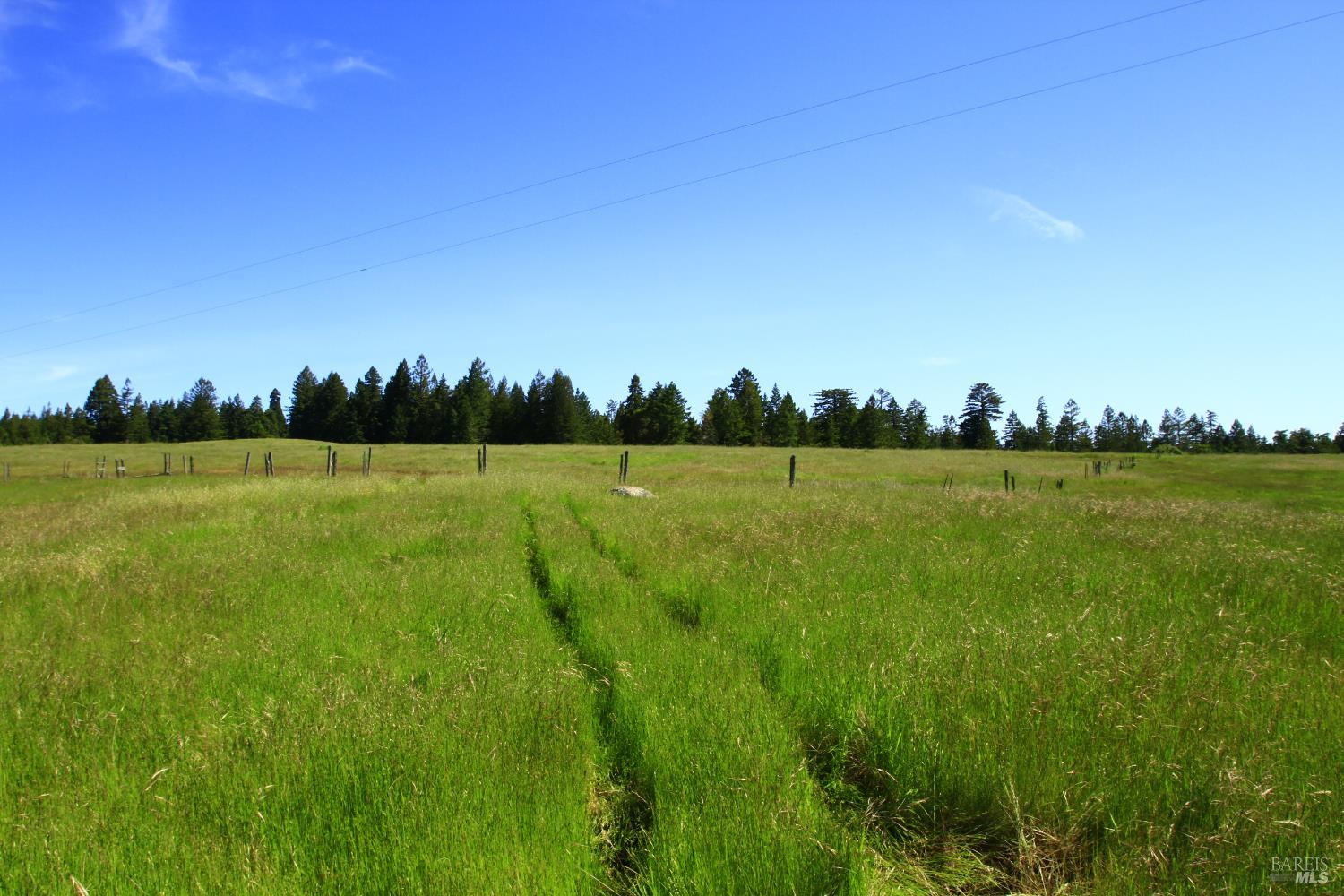 31010 Stewarts Point-skaggs Springs Road Annapolis, CA 95412 - Photo 7 of 78 a view of yard with swimming pool and trees in the background