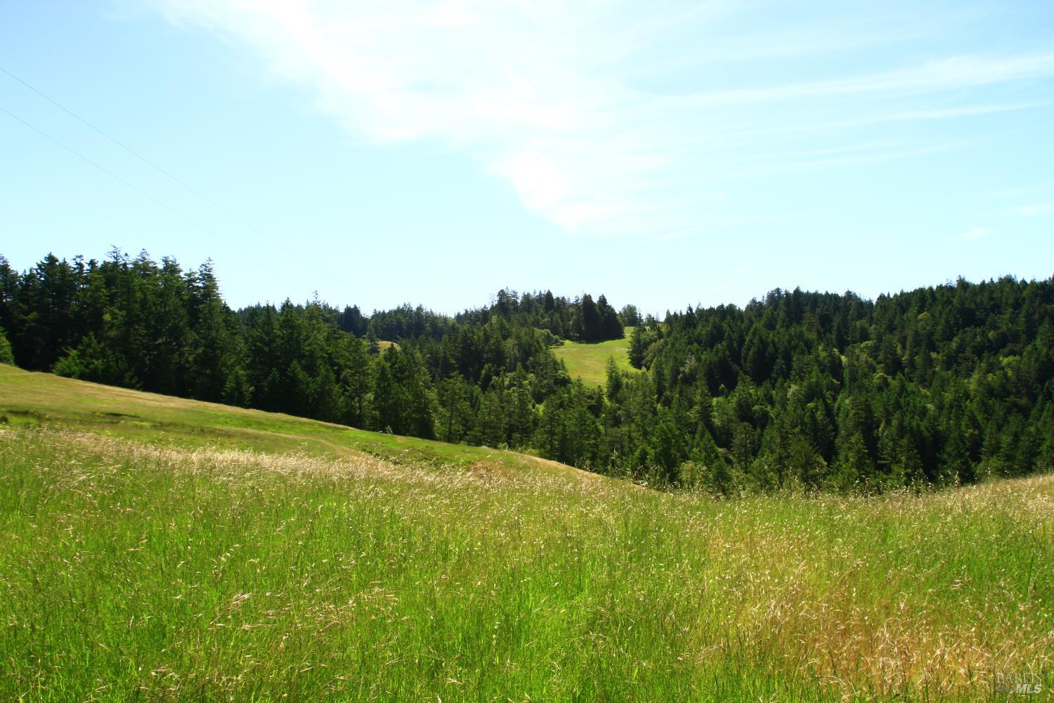 31010 Stewarts Point-skaggs Springs Road Annapolis, CA 95412 - Photo 8 of 78 a view of a lush green space with sea