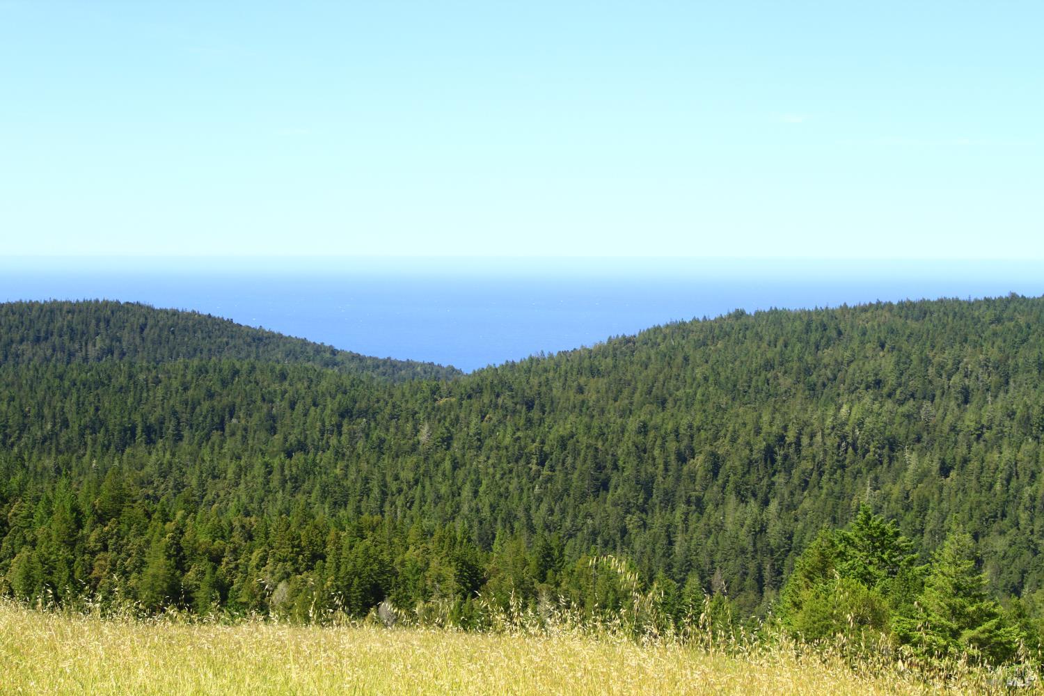 31010 Stewarts Point-skaggs Springs Road Annapolis, CA 95412 - Photo 9 of 78 a view of a city with lush green forest