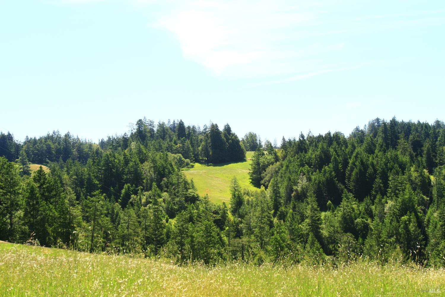 31010 Stewarts Point-skaggs Springs Road Annapolis, CA 95412 - Photo 10 of 78