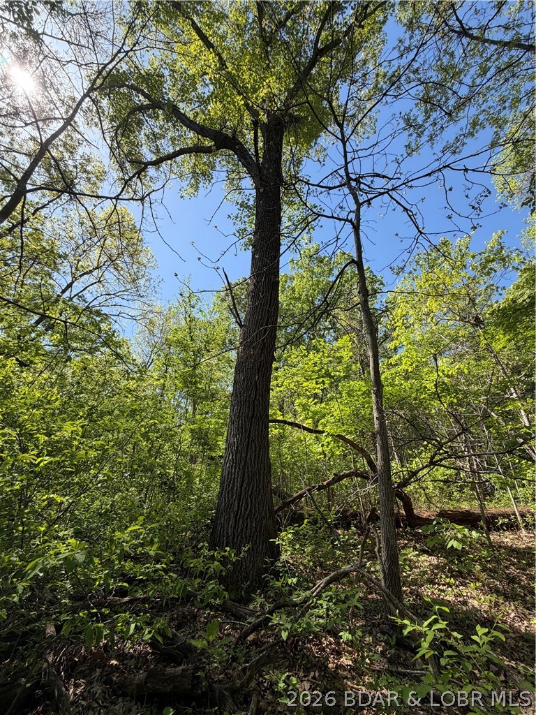 10-acres Ivy Bend Road Stover, MO 65078 - Photo 11 of 12