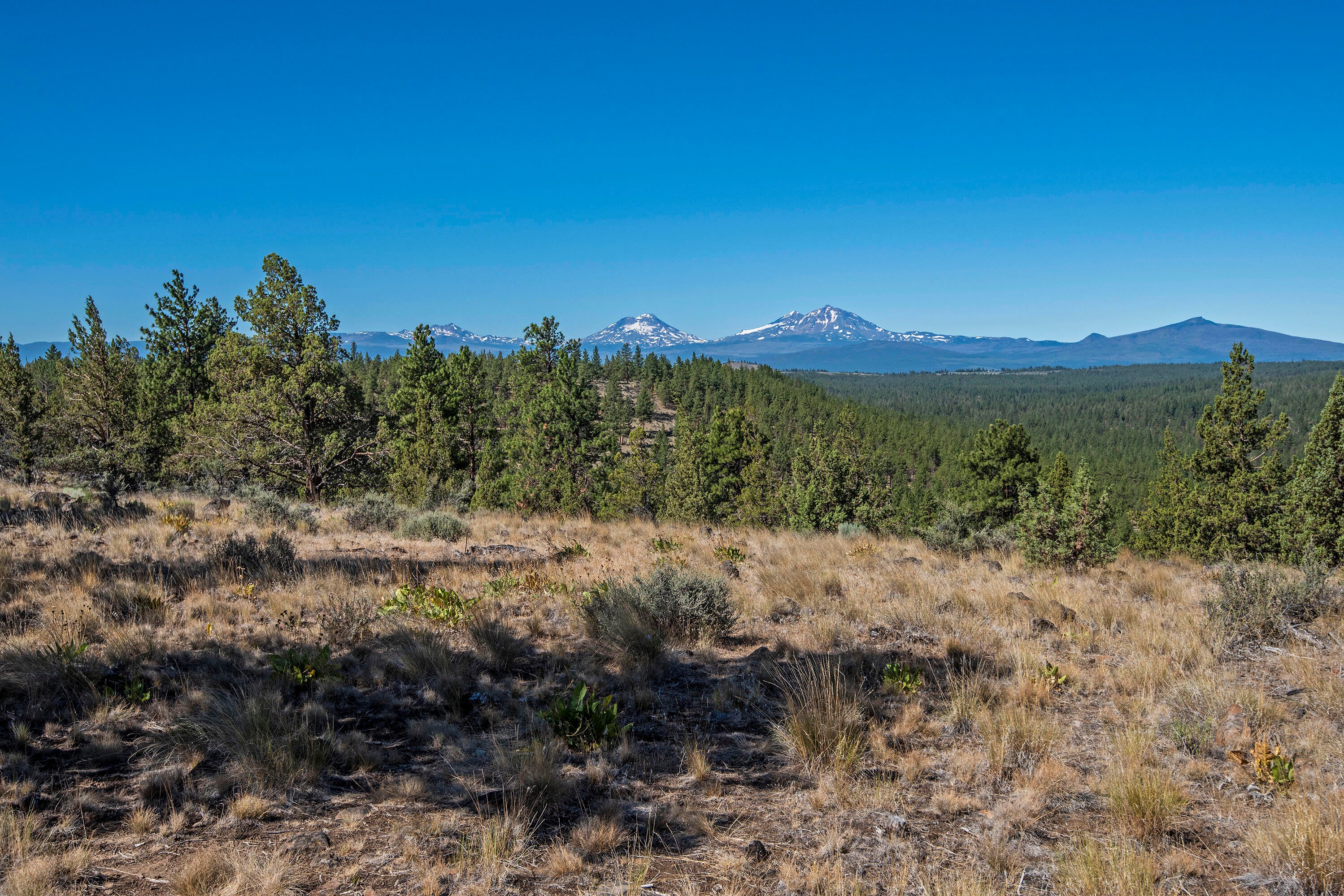17990 Mountain View Road Sisters, OR 97759 - Photo 14 of 21 DSC_8276