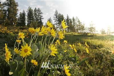 -tbd Hidden Valley Road, Unit 4B Cle Elum, WA 98922 - Photo 1 of 1 Gallery Image 1