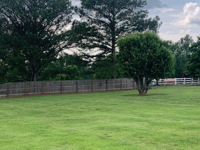 3078 Big Springs Road Lebanon, TN 37090 - Photo 5 of 24 a view of a yard with a trees