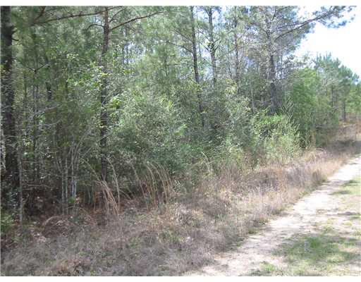 0 Lock Road, Unit 3 Bogalusa, LA 70427 - Photo 3 of 7 Gallery Image 3