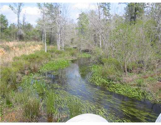 0 Lock Road, Unit 3 Bogalusa, LA 70427 - Photo 5 of 7 Gallery Image 5