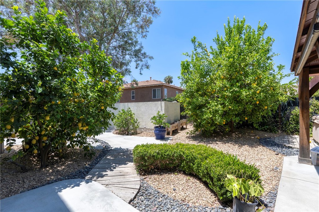 3819 St Austell Way Perris, CA 92571 - Photo 61 of 64 a view of a yard with potted plants and large trees