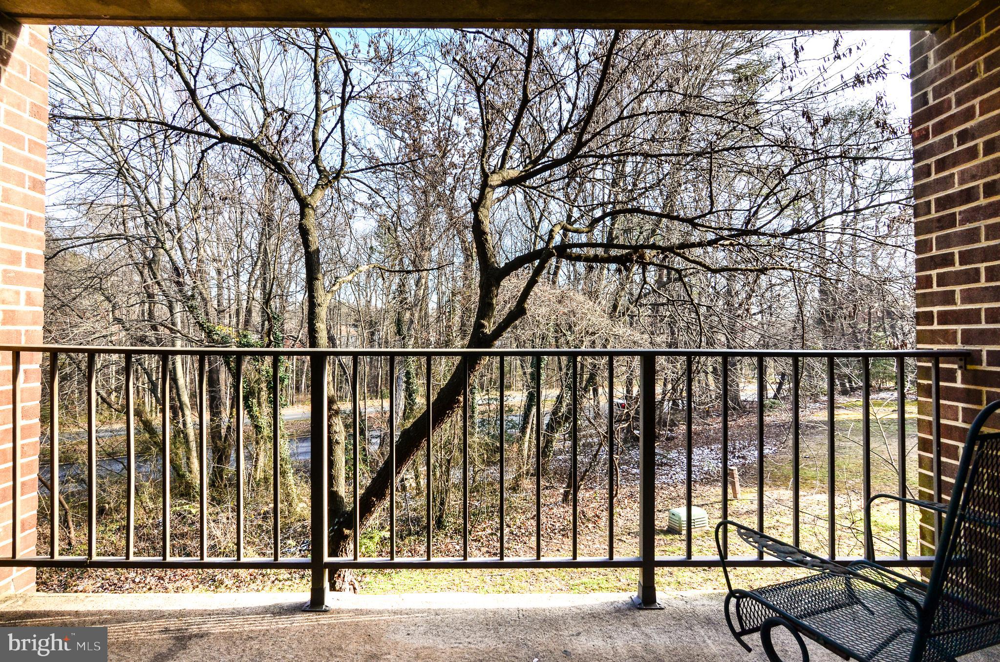 1427 Northgate Square, Unit 11B Reston, VA 20190 - Photo 20 of 41 Patio Overlooking Trees