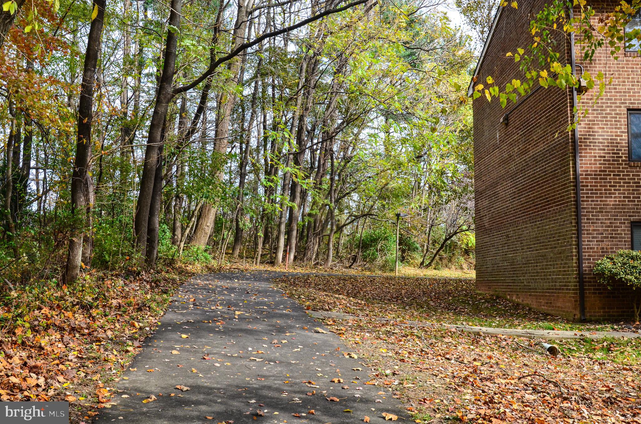 1427 Northgate Square, Unit 11B Reston, VA 20190 - Photo 26 of 41 Common Area Walking Trails