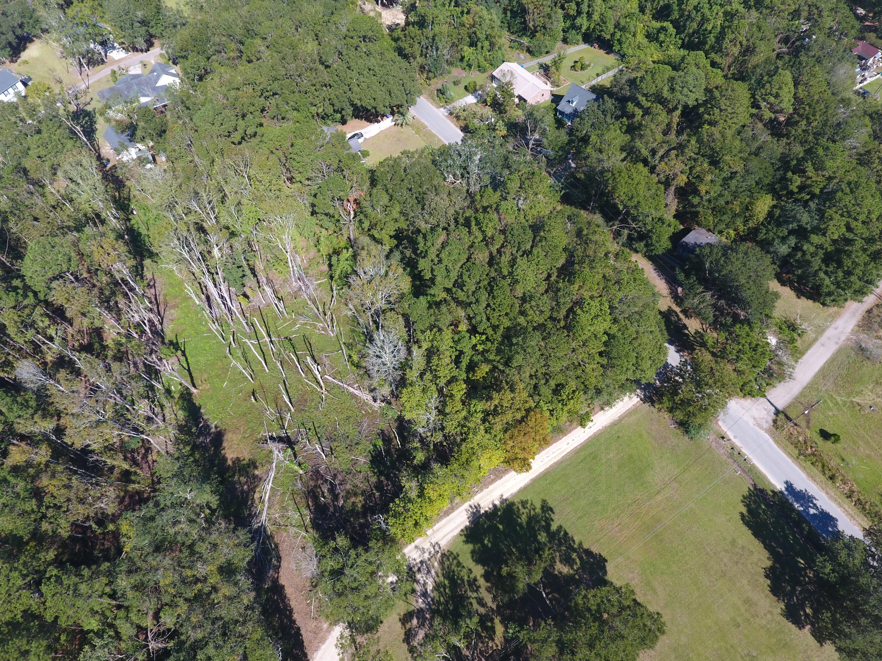 0 Riley Road Charleston, SC 29412 - Photo 11 of 27 DJI_0134