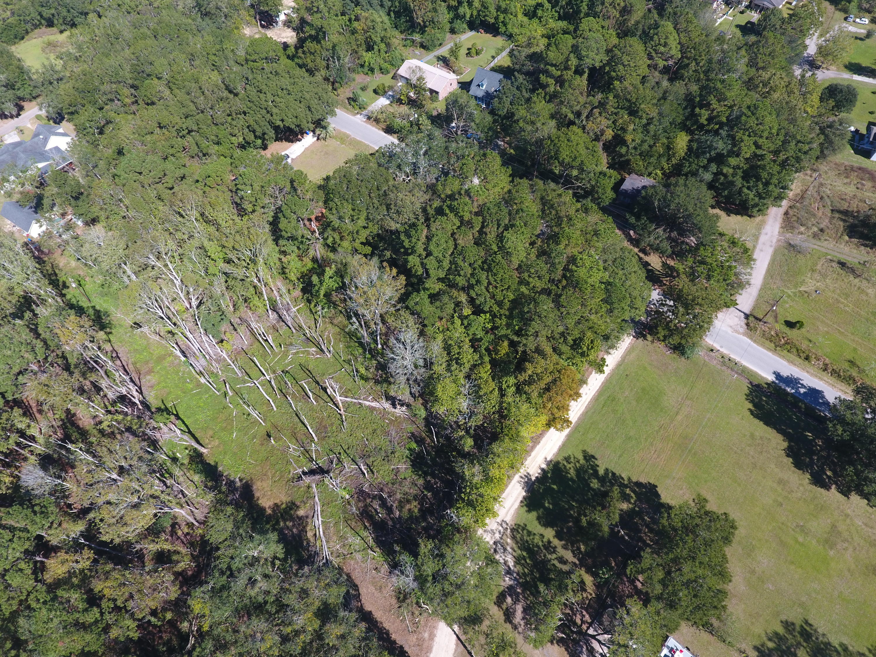 0 Riley Road Charleston, SC 29412 - Photo 12 of 27 DJI_0135