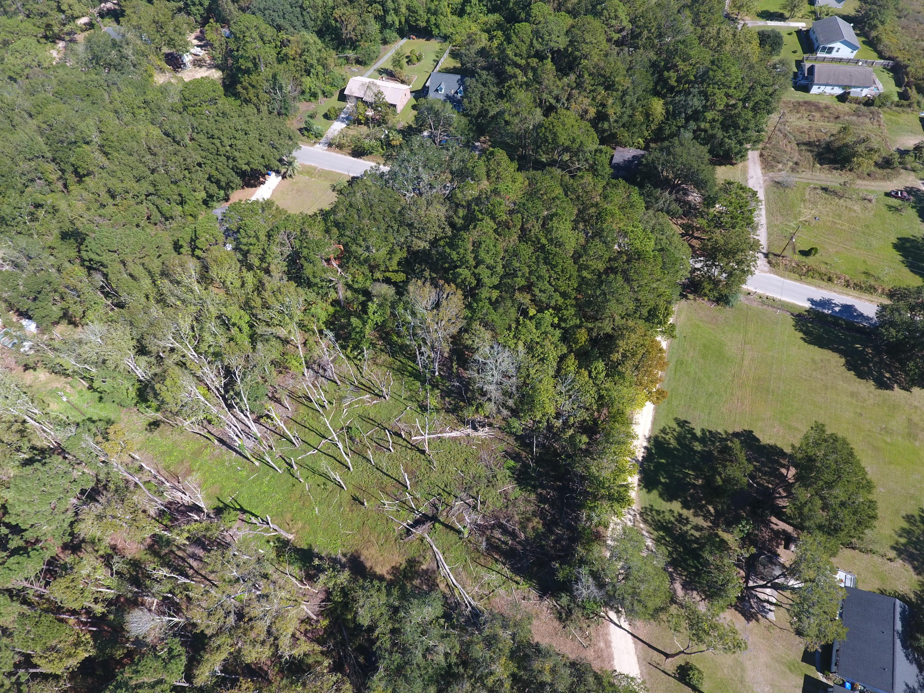 0 Riley Road Charleston, SC 29412 - Photo 13 of 27 DJI_0136