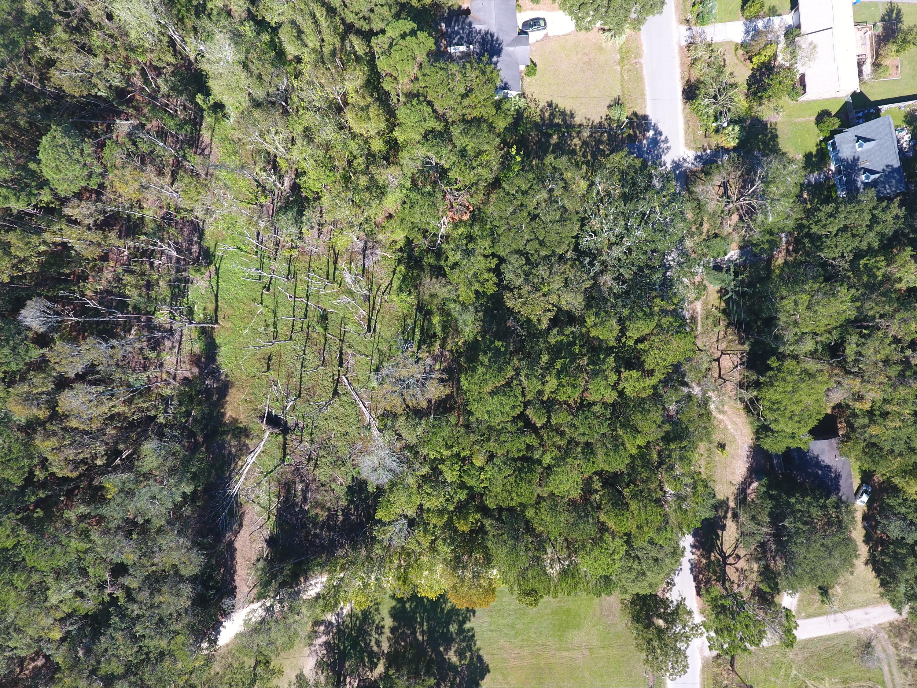 0 Riley Road Charleston, SC 29412 - Photo 24 of 27 DJI_0148