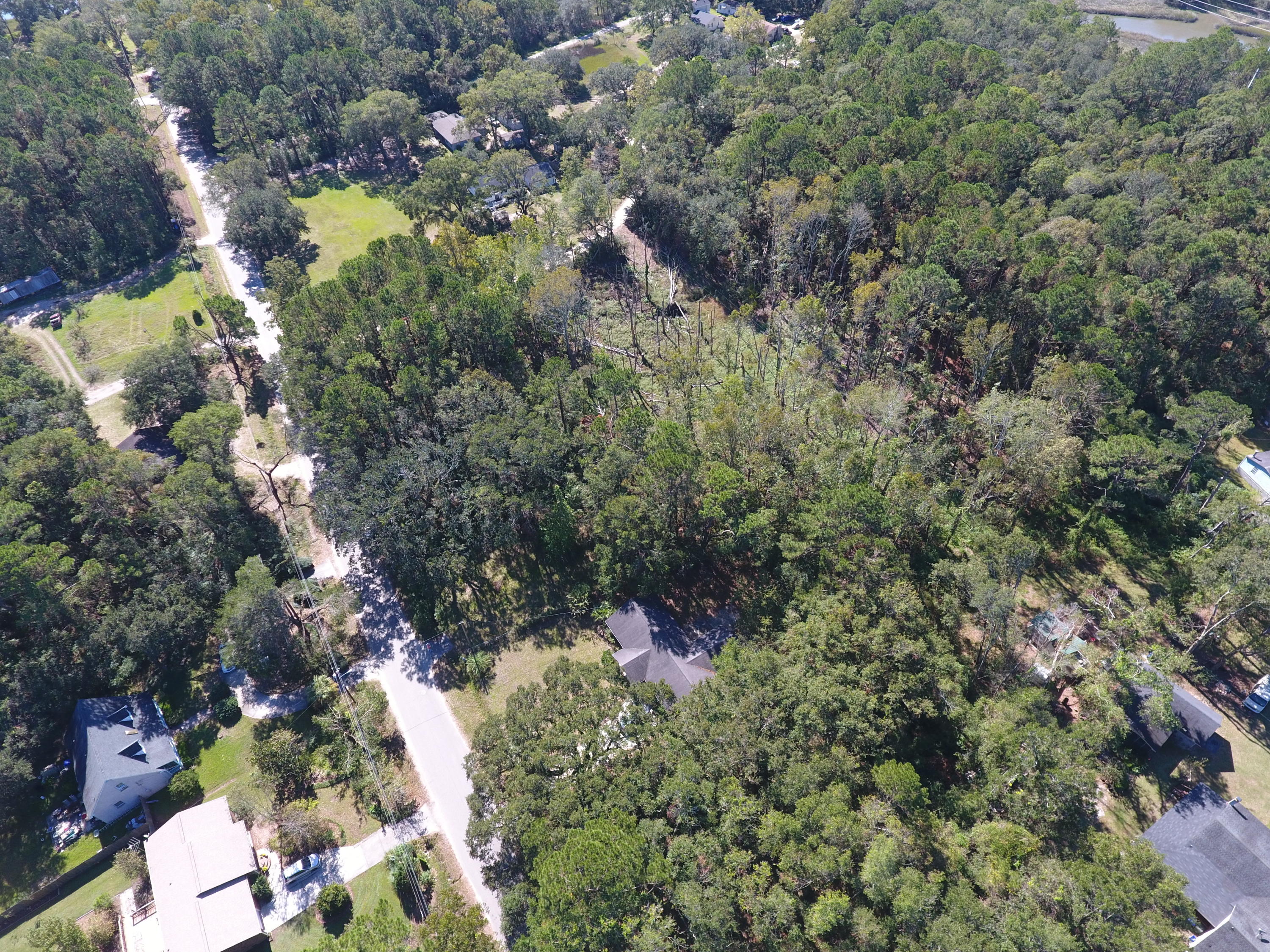 0 Riley Road Charleston, SC 29412 - Photo 5 of 27 DJI_0128